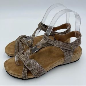 TAOS Footwear Trulie in Stone (Size 37, US 6-6.5)